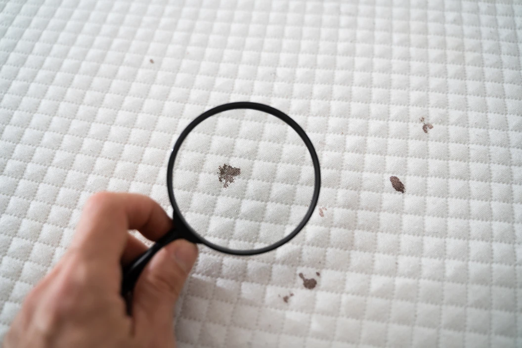 Hydrovacuum Cleaning - Baby Crib di Haifresh