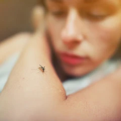 Pemeriksaan Anti DHF (rapid) di Amalia Medical Center