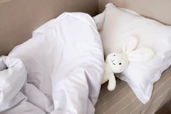 Hydrovacuum Bantal/Guling Bayi di Robo Cleanup