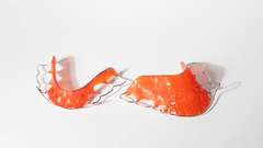 Gigi Palsu Valplast Plat + 1 Gigi di CS Dental