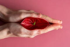 Vaginoplasty di Revere Clinic