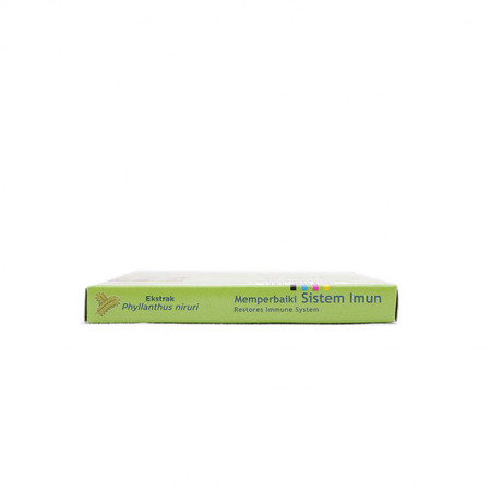 Stimuno Forte (Ekstrak Phyllanthus niruri (Meniran)) 10 Kapsul 1 Box