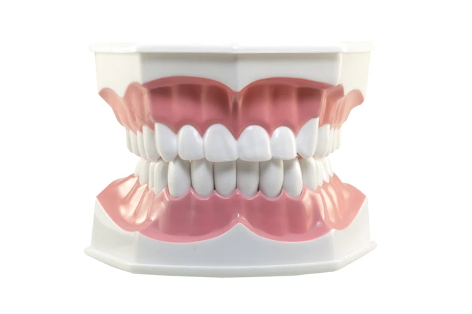 Gigi Palsu Lepasan Valplast (Plat dan 1 Gigi) di JB Dental Clinic