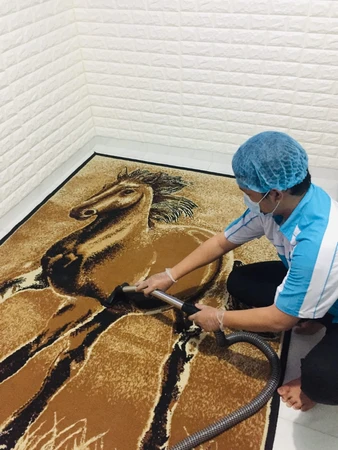 Deep Washing Karpet Tebal /m2 di Robo Cleanup