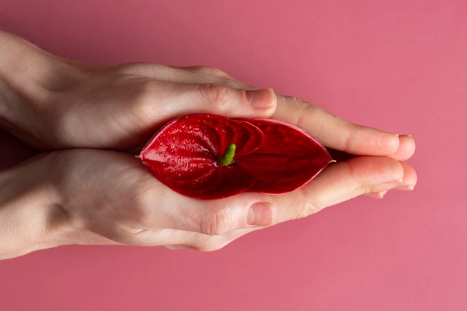 Vaginoplasty di Revere Clinic