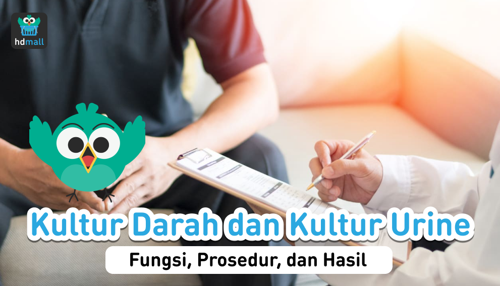 Kultur Darah Dan Kultur Urine: Fungsi, Prosedur, Dan Hasil | HDmall