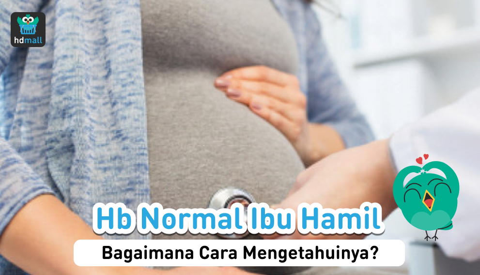 Berapa Hb Normal Pada Ibu Hamil, Apa Yang Perlu Diketahui? | HDmall